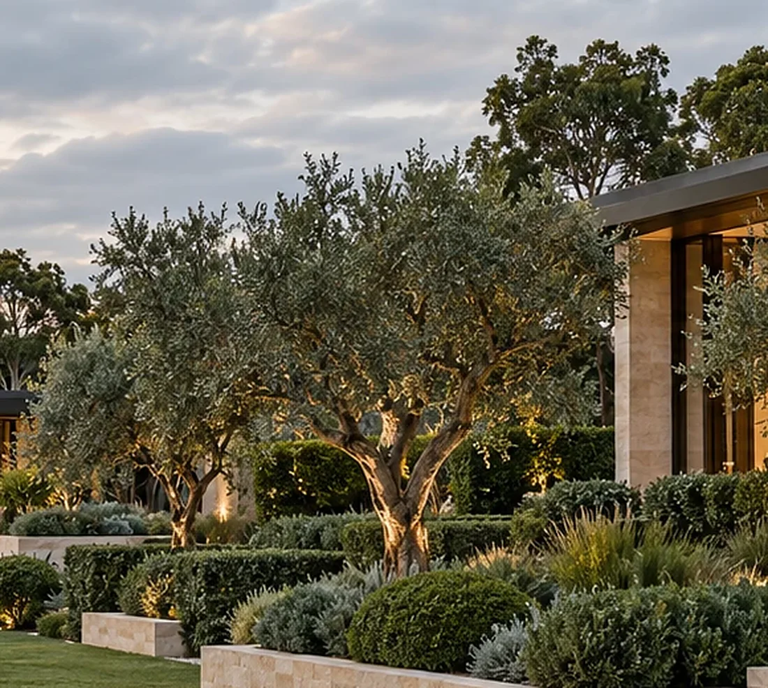 Olive trees and clipped hedging beside a sandstone pavilion